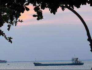 Vung Tau Homestay sát biển