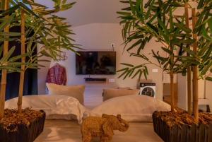 Japan secret Suite