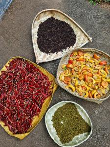 Piya Sewana Spice Garden Villa - Near Colombo & Katunayake Airport