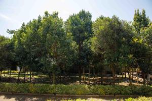 Aberdares View Residence Ol Kalou