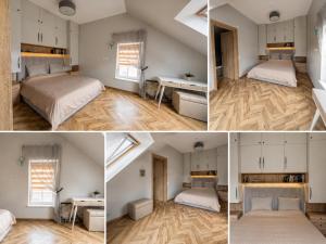 Botanical Manor Apartment & free parking