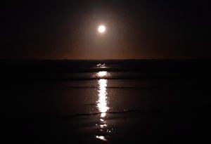 Alta Mar