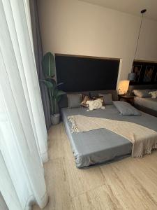 Luxury Condo for 4 Rooftop Pool Near 5th Ave playa de carmen
