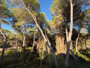 Apartamento, Playa El Saler - Valencia