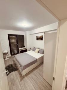 A B V Central Apartment- Unitate autorizata de Ministerul Turismului