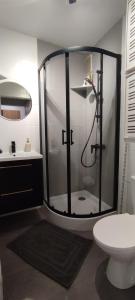 Toruń Apartament