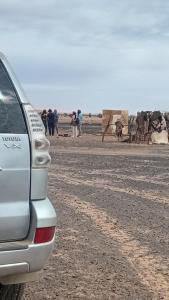 Desert Adventure Camp
