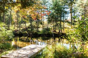 Chalet nature avec ruisseau, ilot prive