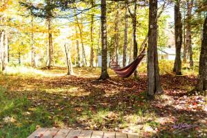 Chalet nature avec ruisseau, ilot prive