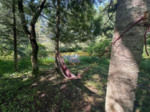Chalet nature avec ruisseau, ilot prive