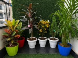 1BHK - Golf Course RD-Metro