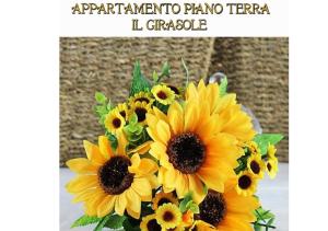 La casa dei gabbiani
