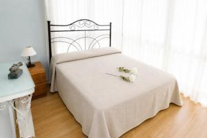 Duplex rubens