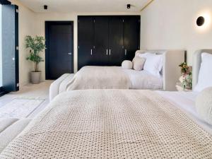 2 Luxury Villas in Condesa with Rooftops 18BR