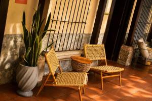 Bloom Hostel