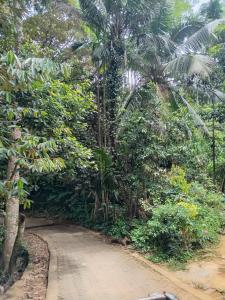Down Fattna Eco Villa
