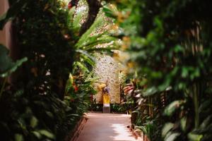 Aria Exclusive Villas & SPA