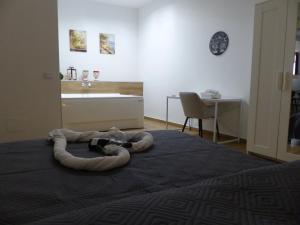 GiMa Suite
