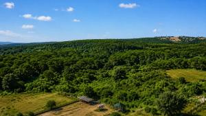 Green Roof Boutique Hotel & SPA Istanbul Airport