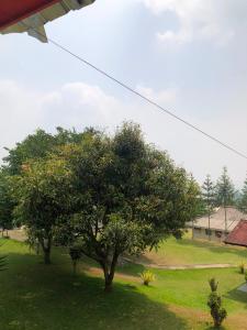 new pratama