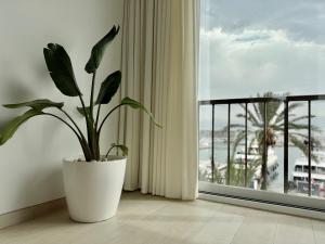 Apartamento con vistas al Puerto y Parking