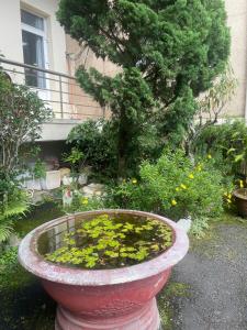 Maison Dalat homstay