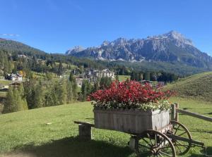 Modern Comfort in Cortina
