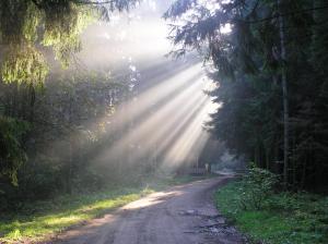 Panterej Pokoje Gościnne