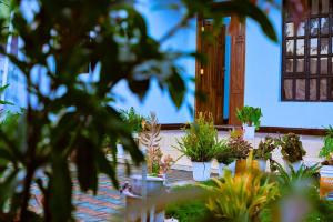 Meru View BnB
