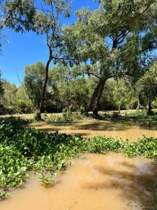 Casa quinta con pileta y río privado, ideal grupos a 60km de CABA