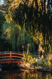 Dreamland Oasis Hotel Chakvi