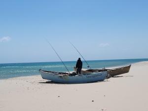 El Jarra