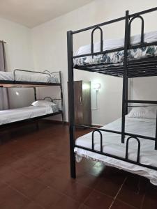 Hummingbird Hostel