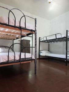 Hummingbird Hostel