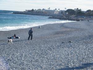 Apartment Villa HenriIV