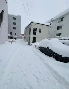 Yoshinaga B&B Snow