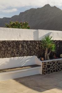 Canaryislandshost I Esencia