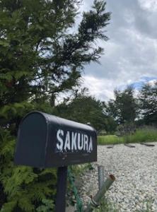 Sakura 咲楽
