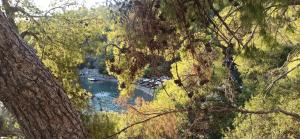 Beachfront Premium Studio 40m2 Poros