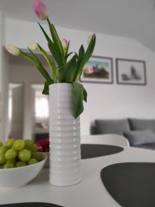 Apartament DobraNocka