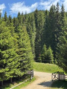 Cabana Laptici - statiunea Pestera-Padina, Bucegi