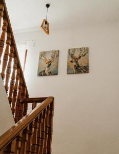 Casa Laptici - statiunea Pestera-Padina, Bucegi