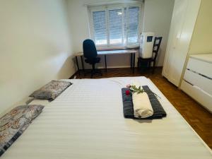 Lake side city center Apt in friendly area