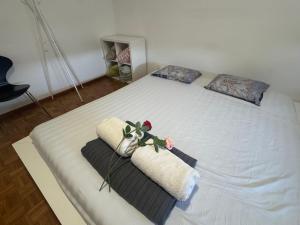 Lake side city center Apt in friendly area