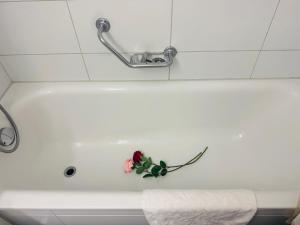 Lake side city center Apt in friendly area