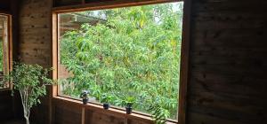Romantic Getaway Luxury Cabin with Whirlpool