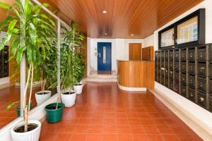 Algarve Light & Poolside Living