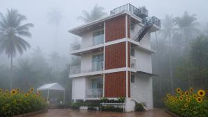 Paddy Trails Nature Retreat Wayanad - Paddy Fields & Sunflower Gardens
