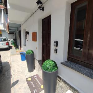 Casa Iris