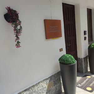 Casa Iris